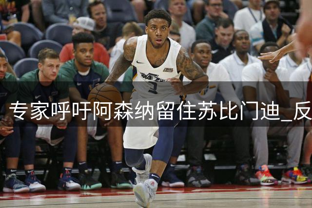 专家呼吁阿森纳留住苏比门迪 反对其转会切尔西